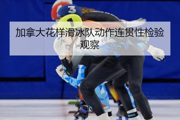 jia-na-da-hua-yang-hua-bing-dui-dong-zuo-lian-guan-xing-jian-yan-guan-cha-2-230.jpg